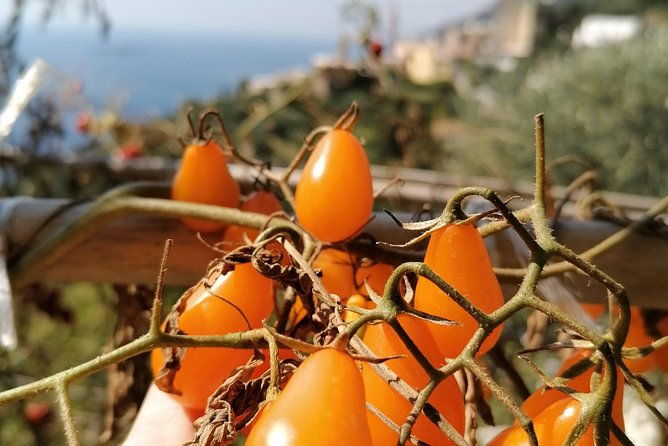 lemon-sea-food-cooking-class-at-locals-home