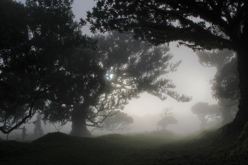 let-me-surprise-you-madeira-full-day-private-tour