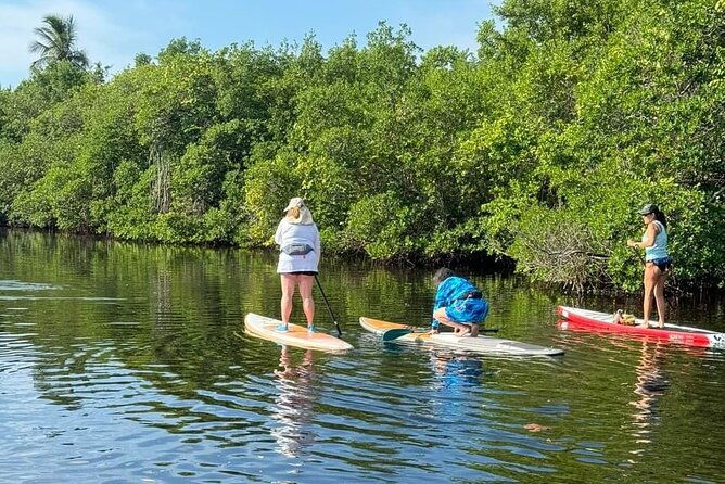lets-paddle-jupiter-surrounding-areas