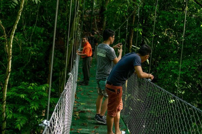 limon-rainforest-hanging-bridges-skywalk-tour-tortuguero-canals
