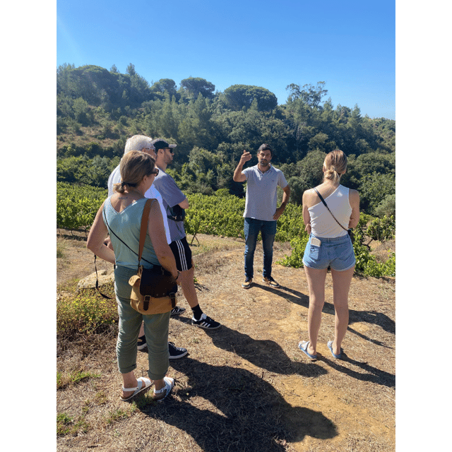 lisbon-private-full-day-wine-tour-with-driver