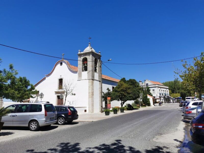 lisbon-to-wine-tasting-setubal-two-cellars-half-day-tour