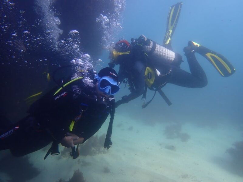lisbon-try-dive-in-arrabida-marine-reserve-setubal-sesimbra