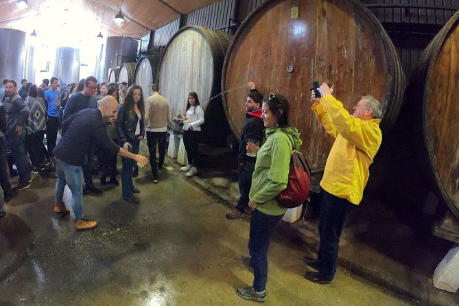 live-in-the-cider-house-the-tradition-of-the-txotx