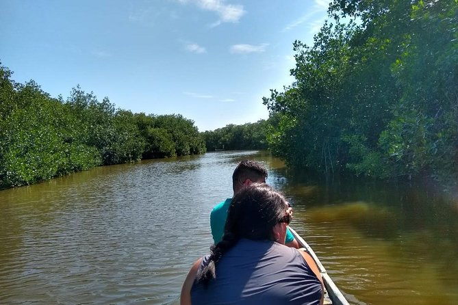 live-like-a-fisherman-on-the-mangroves-rout