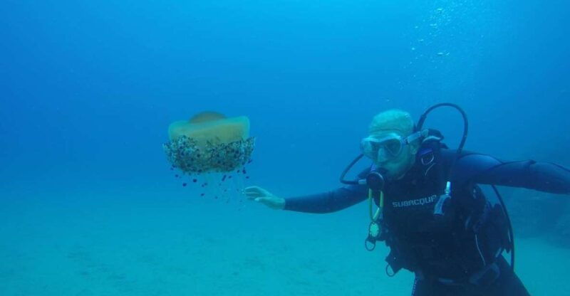 lloret-de-mar-scuba-diving-experience-no-license-required