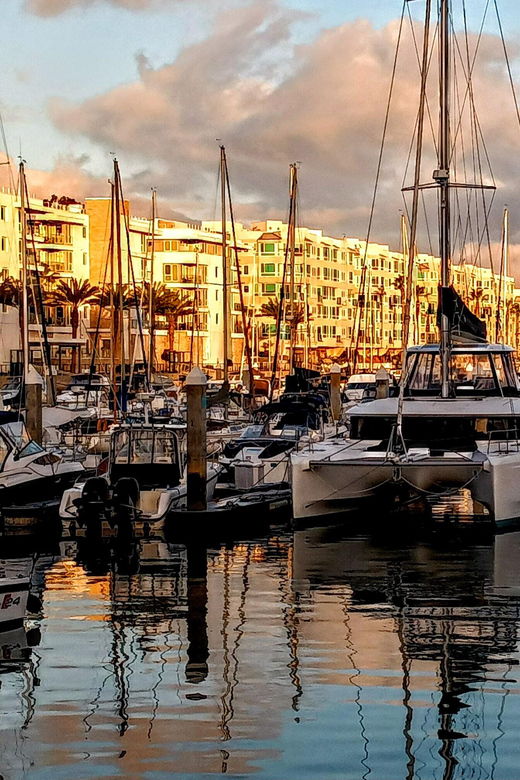 los-angeles-luxury-cruise-with-wine-cheese-sea-lions-2