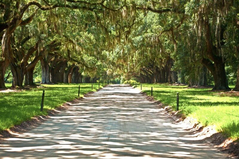 louisiana-laura-oak-alley-or-whitney-plantation-tours