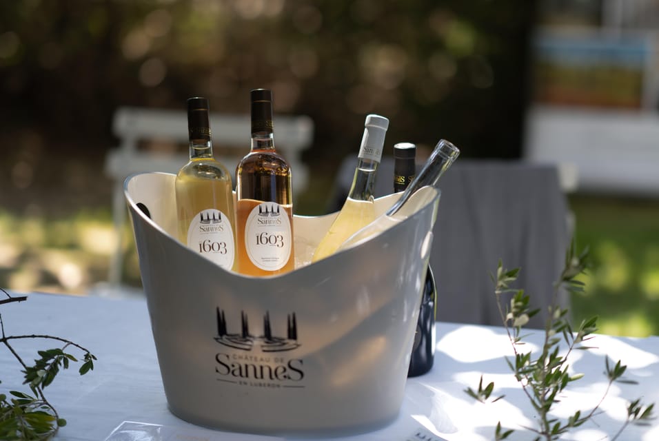 luberon-vineyard-tour-and-wine-tasting