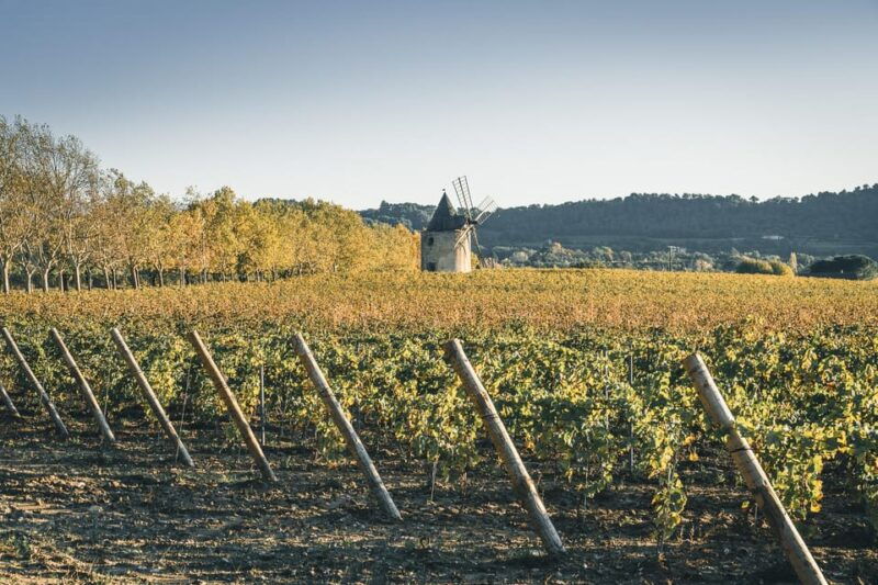 luberon-wine-by-the-glass-at-chateau-de-sannes