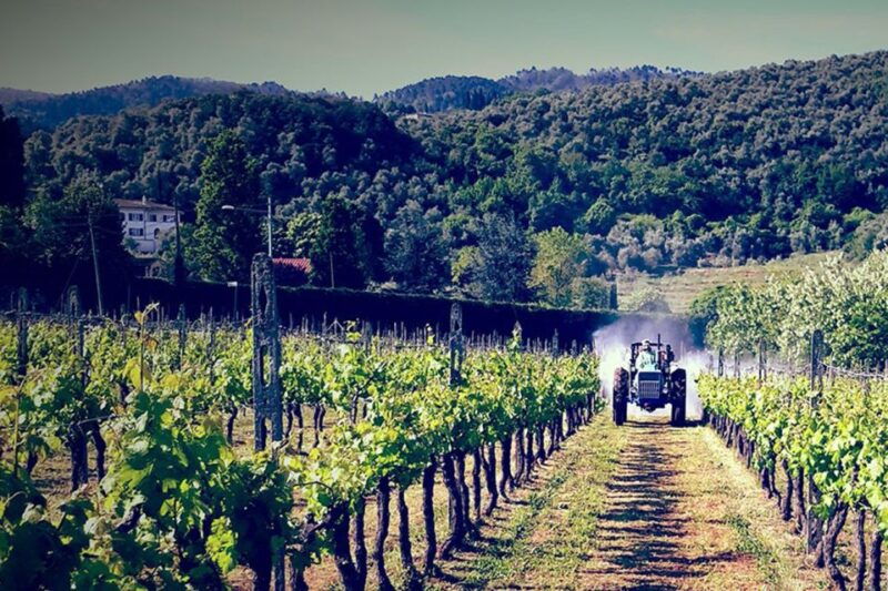 lucca-guided-e-bike-and-wine-tour