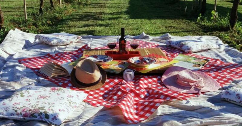 lucca-picnic-lunch-at-a-vineyard-by-bike