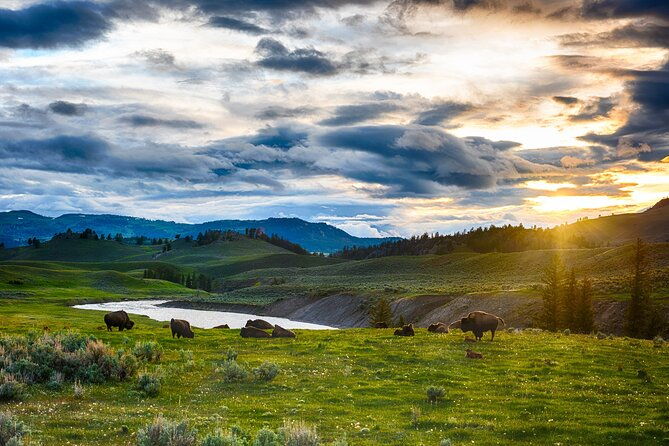 luxury-grand-loop-tour-of-yellowstone-national-park
