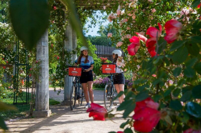 lyon-discovery-of-the-tete-dor-park-by-ebike