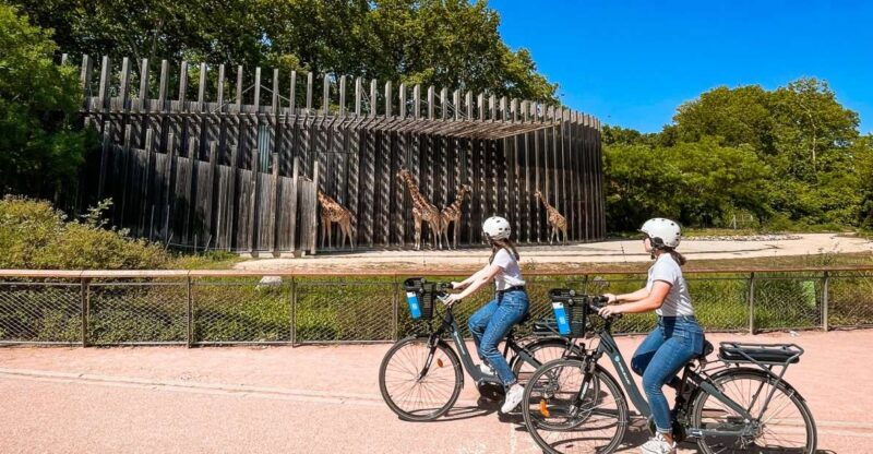 lyon-tete-dor-park-ebike-tour