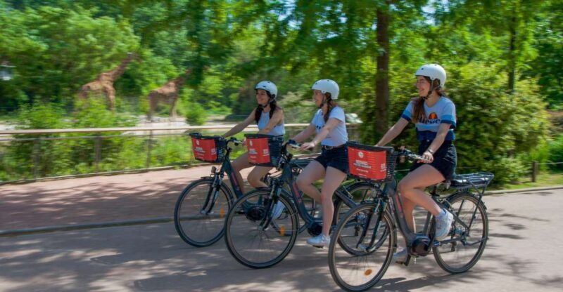 lyon-the-great-ebike-tour
