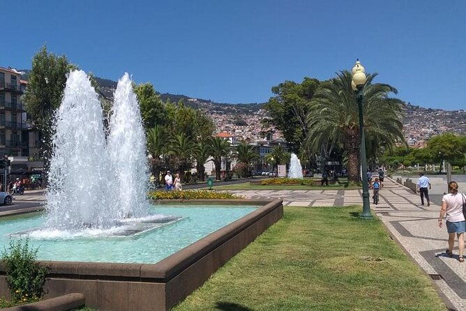 madeira-airport-round-trip-private-transfers-services