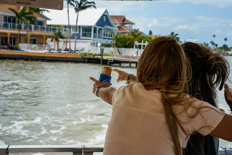 madeira-beach-guided-dolphin-watching-eco-friendly-cruise