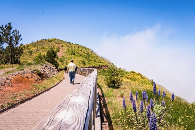 madeira-full-day-adult-only-east-4x4-tour