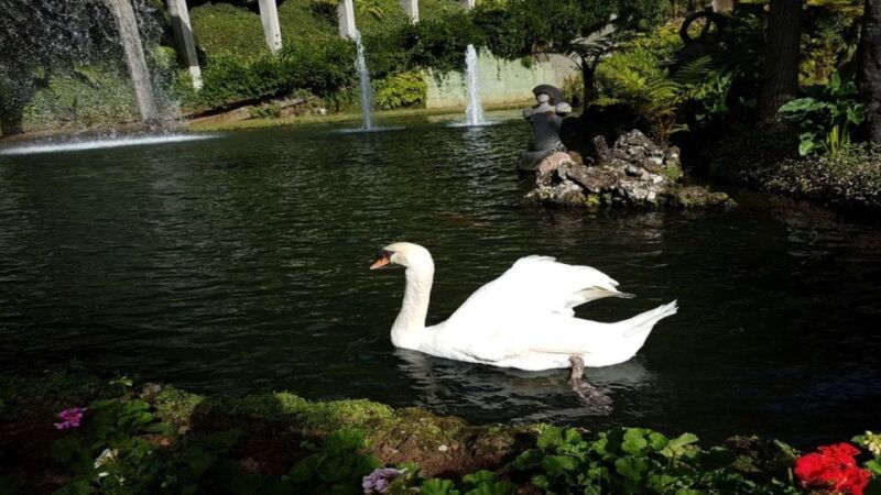 madeira-private-half-day-guided-gardens-tour