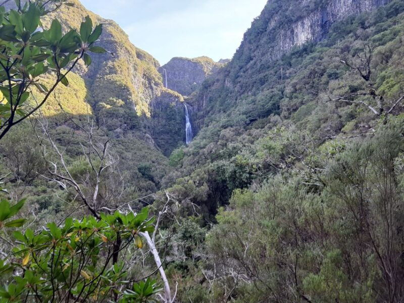 madeira-private-walking-tour-of-levada-das-25-fontes-pr6