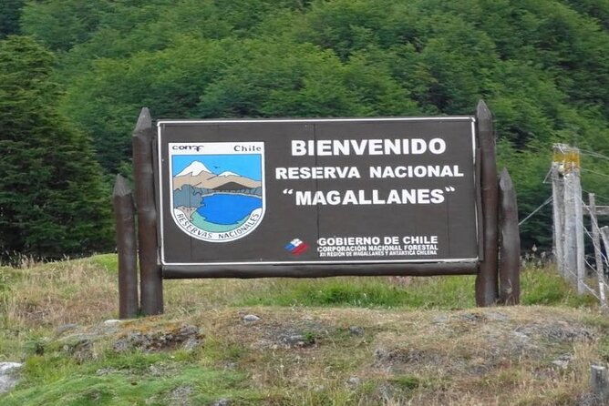 magallanes-national-reserve-hiking-from-punta-arenas