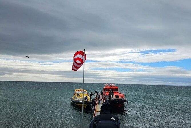 magdalena-island-penguin-boat-tour-and-marta-island