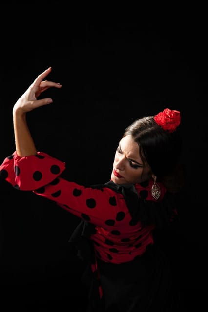malaga-authentic-flamenco-dinner-show-at-vino-mio