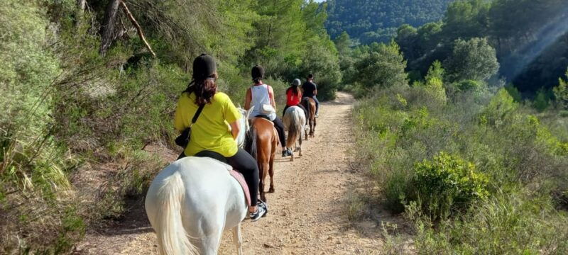 mallorca-activity-antique-mallorca-with-picnic