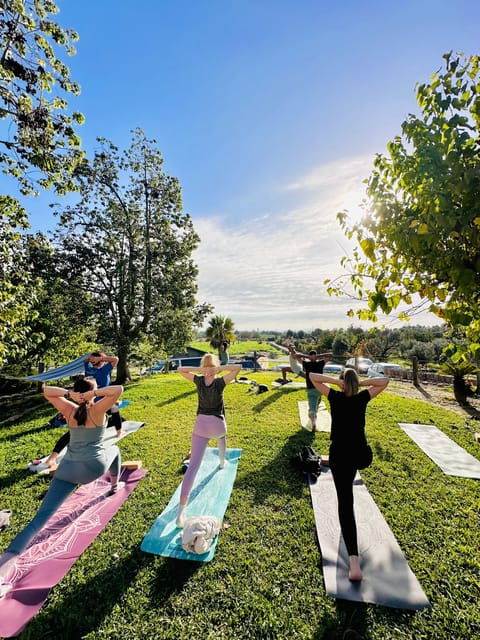 mallorca-holistic-private-yoga-and-meditation-retreat