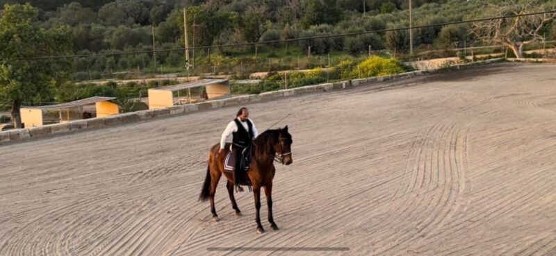 mallorca-sunset-spanish-riding-school-show