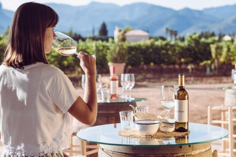 mallorca-sunset-wine-tasting-minibus-tour-english-guide