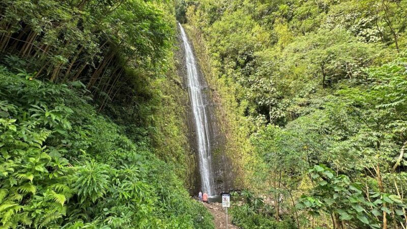 manoa-falls-ebike-to-hike