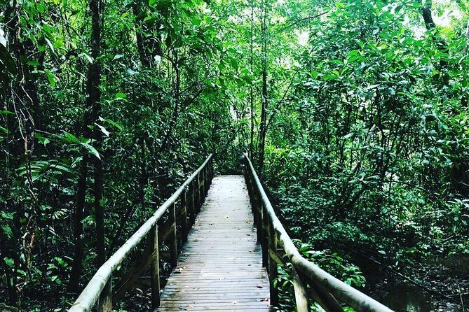 manuel-antonio-national-park-2