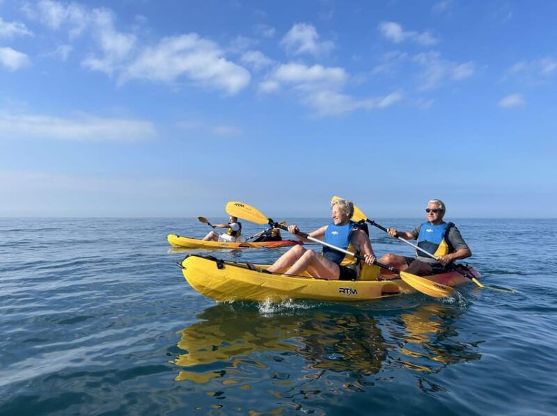 marbella-guided-kayak-tour-in-puerto-banus