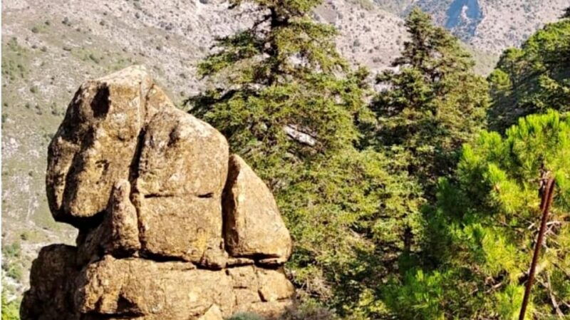 marbella-sierra-de-las-nieves-national-park-hiking-day-trip