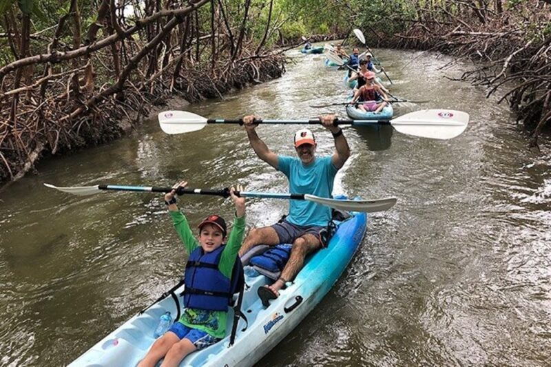 marco-island-kayak-mangrove-ecotour-in-rookery-bay-reserve