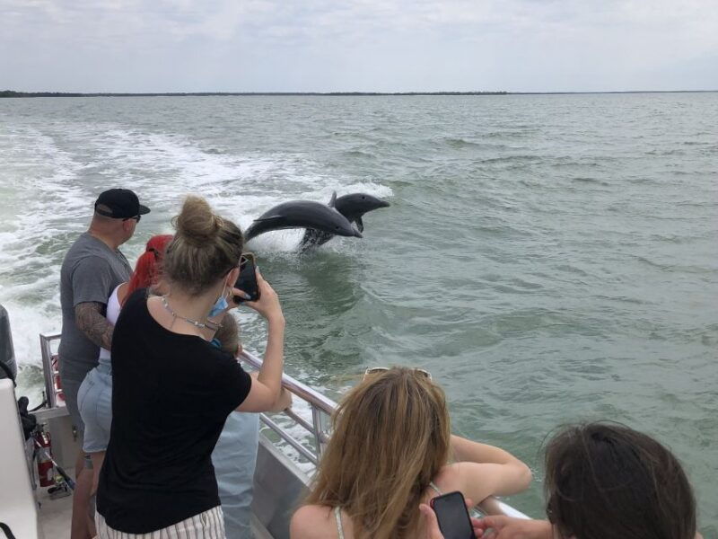 marco-island-ten-thousand-islands-shelling-dolphin-tour