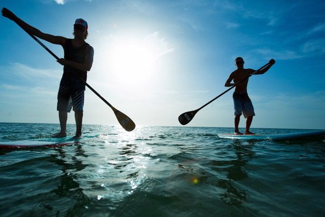 marina-del-rey-paddleboard-tour
