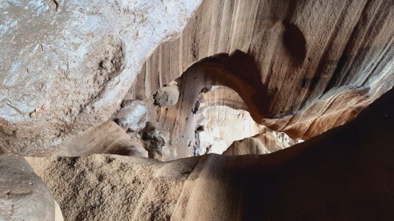 maspalomas-barranco-de-las-vacas-caves-farmhouse-tour