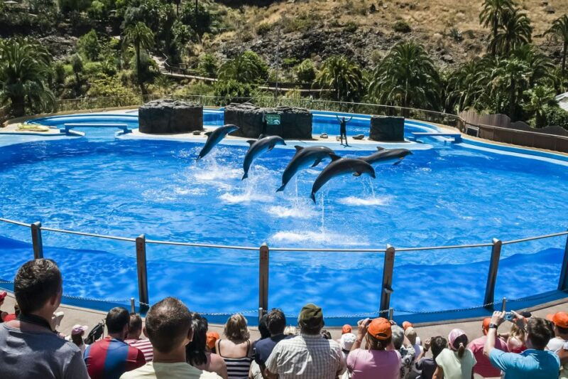 maspalomas-palmitos-park-ticket-with-dolphin-and-bird-shows