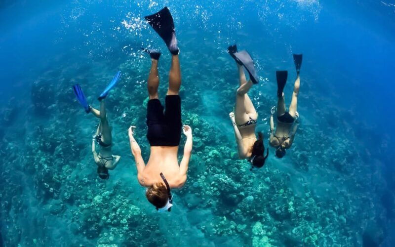 maui-alii-kai-turtles-tacos-snorkel-sail