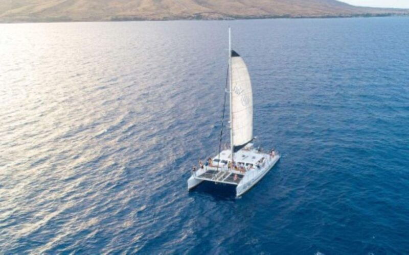 maui-alii-nui-whale-watch-catamaran-sail