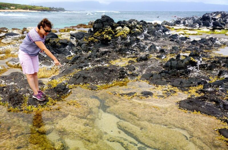 maui-private-guided-round-trip-excursion-to-hana