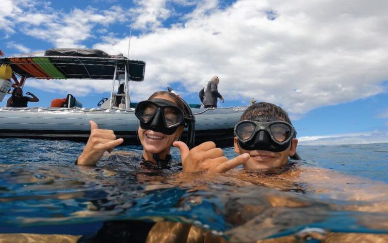 maui-semi-private-3-hour-eco-raft-turtle-snorkel-tour