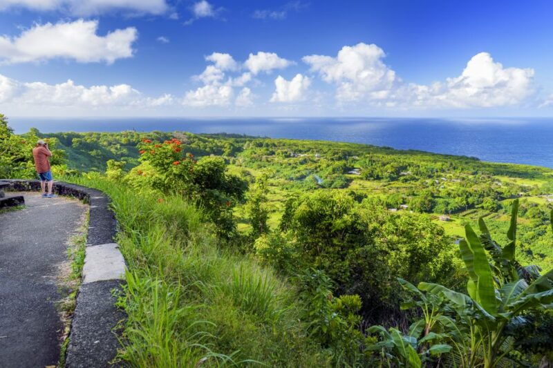maui-small-group-road-to-hana-sightseeing-tour