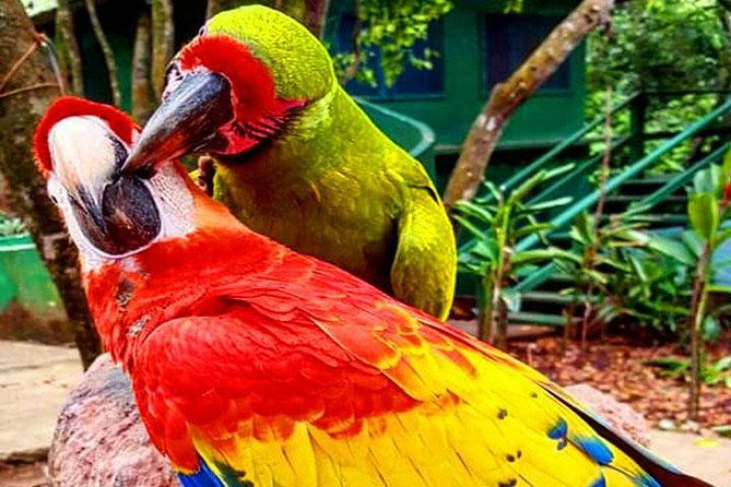 mayan-eden-eco-wildlife-park-city-tour-private-transfer