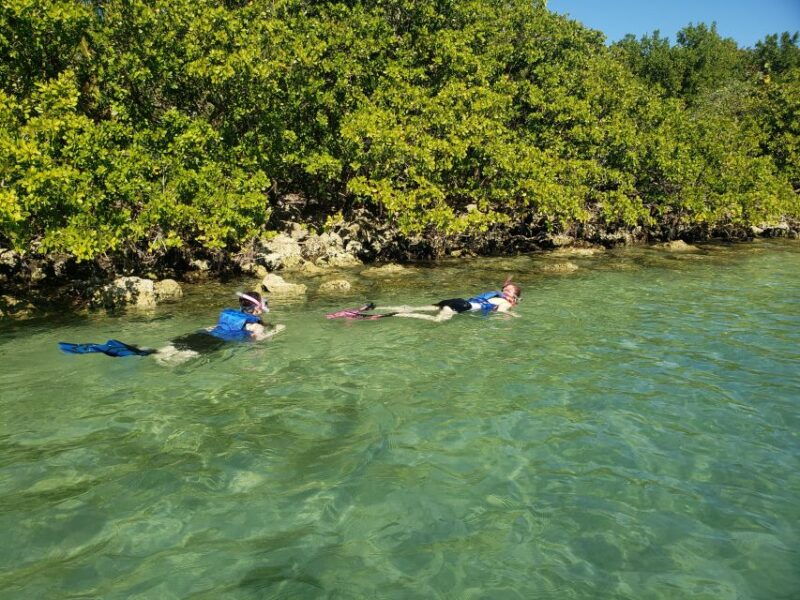 miami-beginner-friendly-island-snorkeling-by-sup-or-kayak