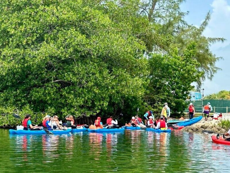 miami-manatee-season-paddleboard-or-kayak-tour