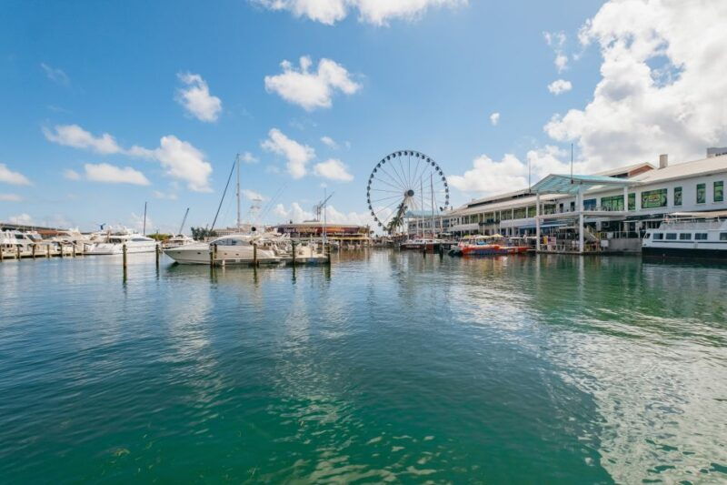 miami-panoramic-open-top-bus-tour-biscayne-bay-cruise